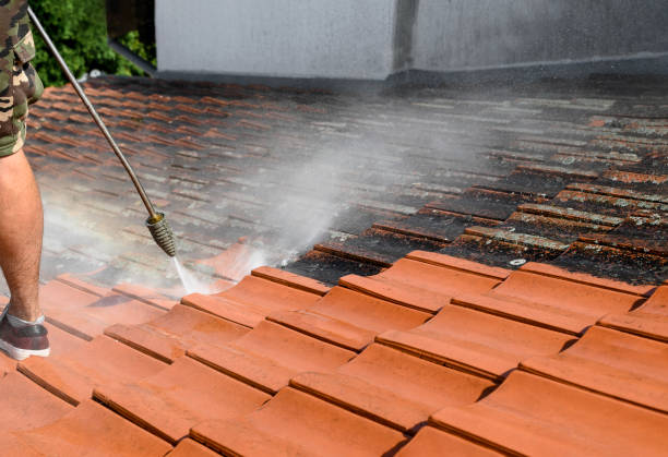 Best Concrete Pressure Washing  in Oyster Creek, TX