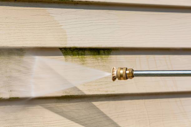 Best Pressure Washing Company Near Me  in Oyster Creek, TX