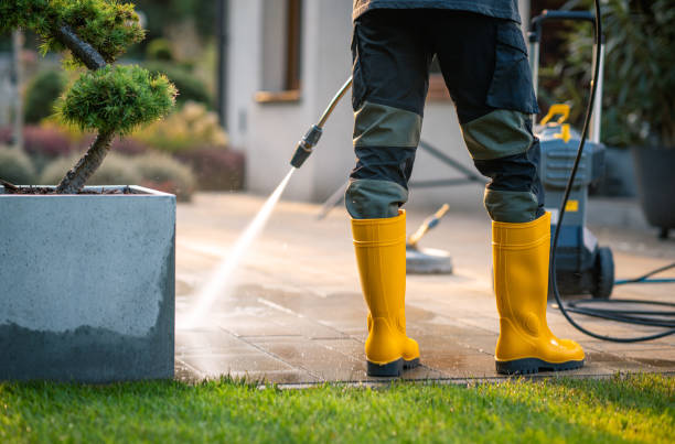Best Affordable Power Washing  in Oyster Creek, TX